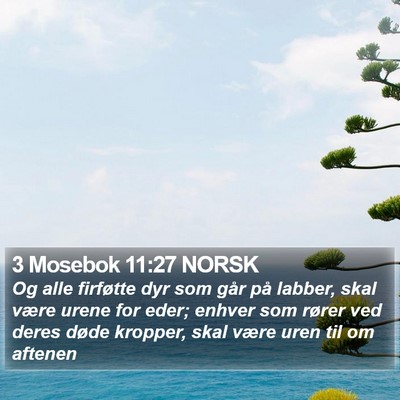 3 Mosebok 11:27 NORSK Bible Verse Image