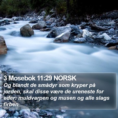 3 Mosebok 11:29 NORSK Bible Verse Image