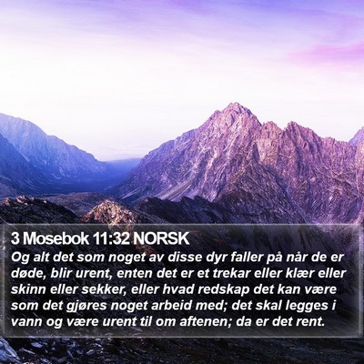3 Mosebok 11:32 NORSK Bible Verse Image