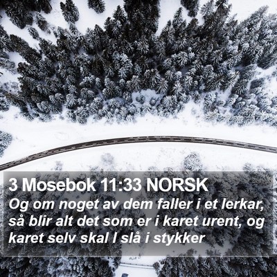 3 Mosebok 11:33 NORSK Bible Verse Image