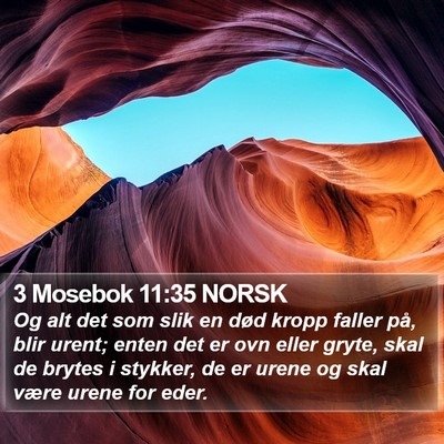 3 Mosebok 11:35 NORSK Bible Verse Image