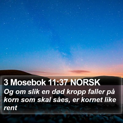 3 Mosebok 11:37 NORSK Bible Verse Image
