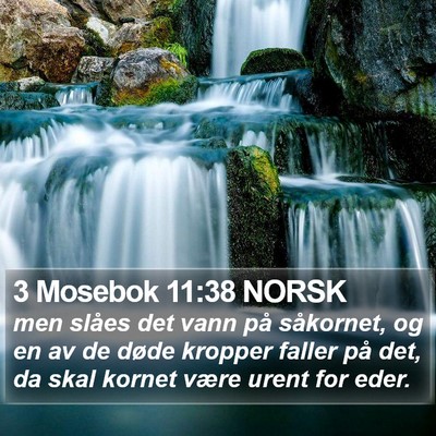 3 Mosebok 11:38 NORSK Bible Verse Image