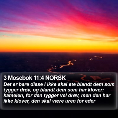 3 Mosebok 11:4 NORSK Bible Verse Image