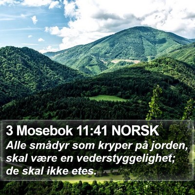 3 Mosebok 11:41 NORSK Bible Verse Image