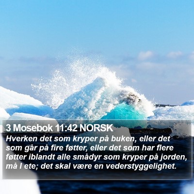 3 Mosebok 11:42 NORSK Bible Verse Image