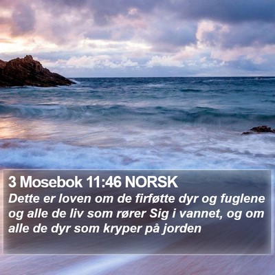 3 Mosebok 11:46 NORSK Bible Verse Image