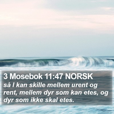 3 Mosebok 11:47 NORSK Bible Verse Image