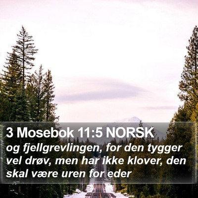 3 Mosebok 11:5 NORSK Bible Verse Image
