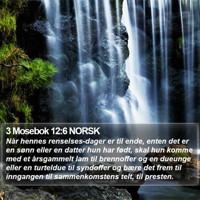 3 Mosebok 12:6 NORSK Bible Verse Image