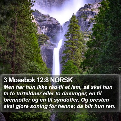 3 Mosebok 12:8 NORSK Bible Verse Image