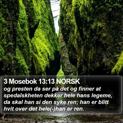 3 Mosebok 13:13 NORSK Bible Verse Image