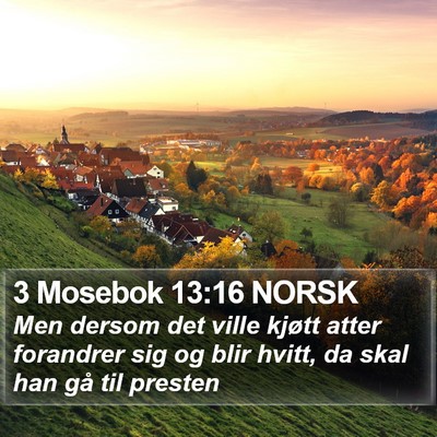 3 Mosebok 13:16 NORSK Bible Verse Image