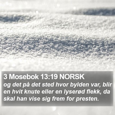 3 Mosebok 13:19 NORSK Bible Verse Image