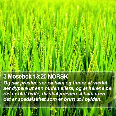 3 Mosebok 13:20 NORSK Bible Verse Image