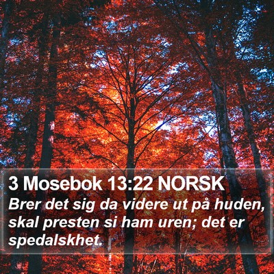 3 Mosebok 13:22 NORSK Bible Verse Image