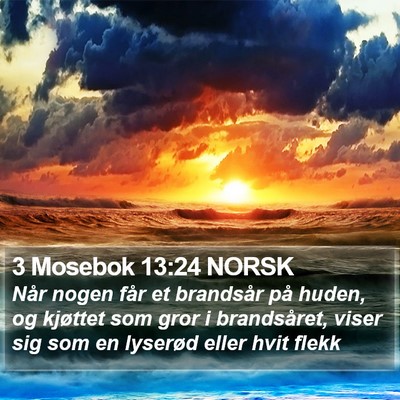 3 Mosebok 13:24 NORSK Bible Verse Image