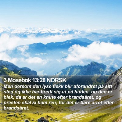 3 Mosebok 13:28 NORSK Bible Verse Image