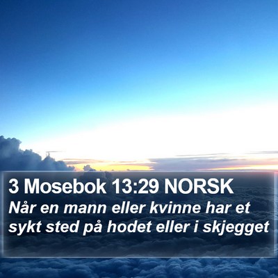 3 Mosebok 13:29 NORSK Bible Verse Image