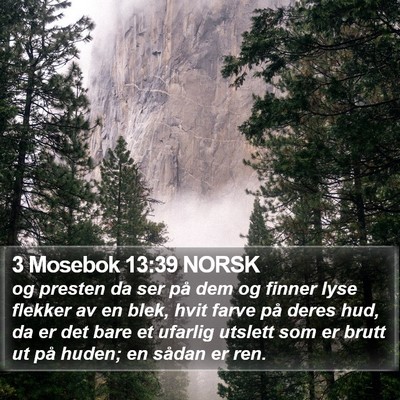 3 Mosebok 13:39 NORSK Bible Verse Image