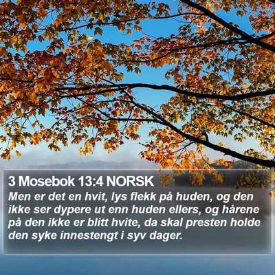 3 Mosebok 13:4 NORSK Bible Verse Image