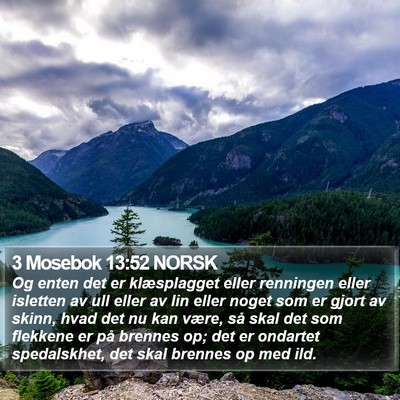 3 Mosebok 13:52 NORSK Bible Verse Image