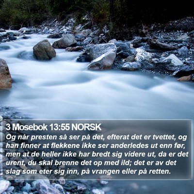 3 Mosebok 13:55 NORSK Bible Verse Image