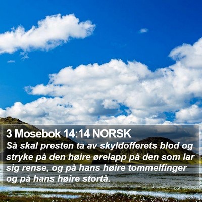 3 Mosebok 14:14 NORSK Bible Verse Image
