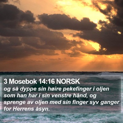 3 Mosebok 14:16 NORSK Bible Verse Image