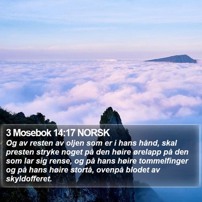 3 Mosebok 14:17 NORSK Bible Verse Image
