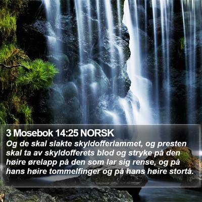3 Mosebok 14:25 NORSK Bible Verse Image
