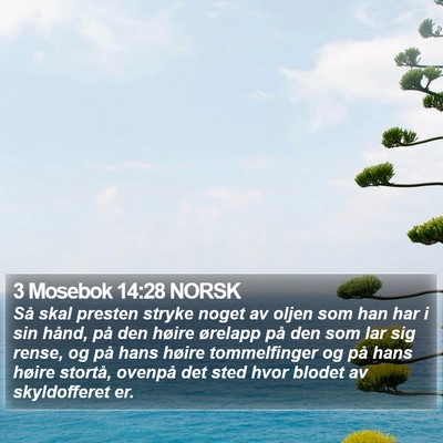 3 Mosebok 14:28 NORSK Bible Verse Image