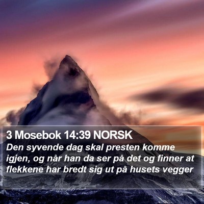 3 Mosebok 14:39 NORSK Bible Verse Image