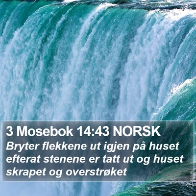3 Mosebok 14:43 NORSK Bible Verse Image