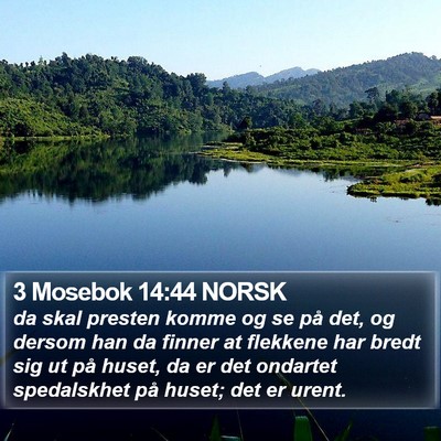 3 Mosebok 14:44 NORSK Bible Verse Image