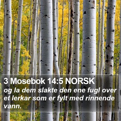 3 Mosebok 14:5 NORSK Bible Verse Image