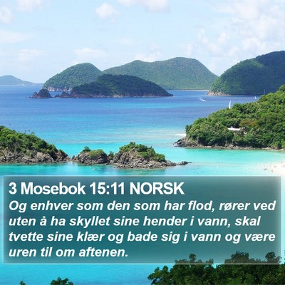 3 Mosebok 15:11 NORSK Bible Verse Image