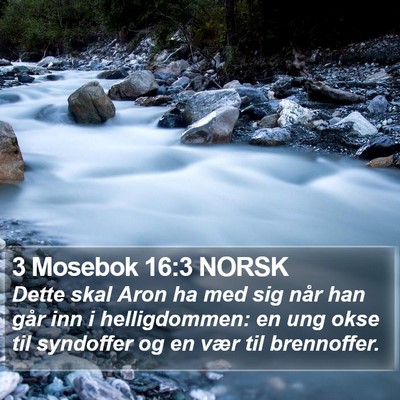3 Mosebok 16:3 NORSK Bible Verse Image