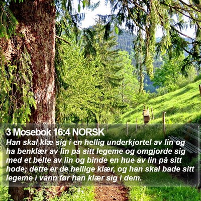 3 Mosebok 16:4 NORSK Bible Verse Image