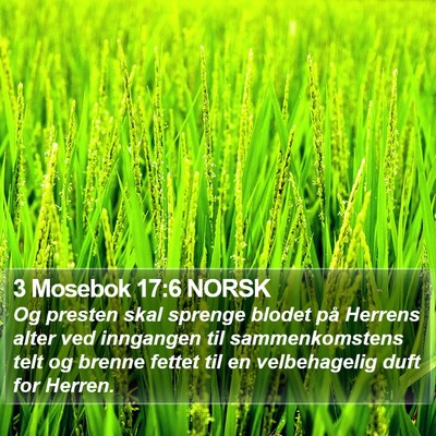 3 Mosebok 17:6 NORSK Bible Verse Image