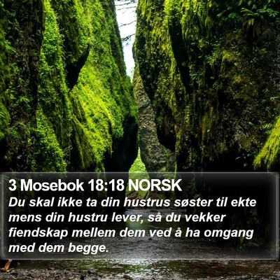 3 Mosebok 18:18 NORSK Bible Verse Image