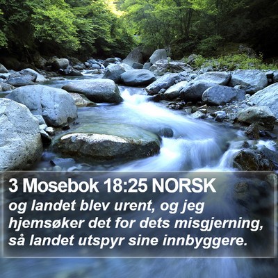 3 Mosebok 18:25 NORSK Bible Verse Image