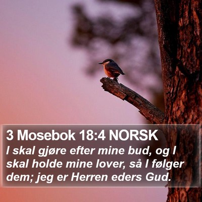 3 Mosebok 18:4 NORSK Bible Verse Image