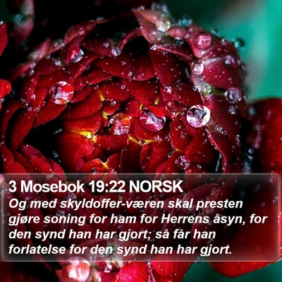 3 Mosebok 19:22 NORSK Bible Verse Image