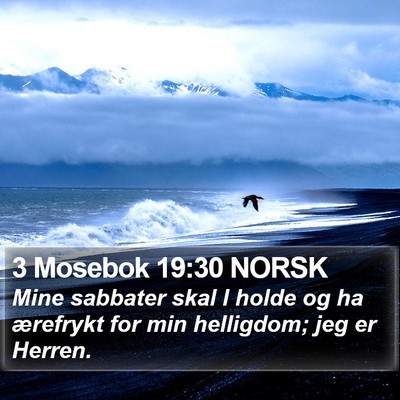3 Mosebok 19:30 NORSK Bible Verse Image