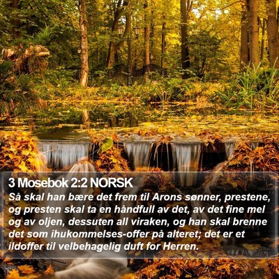 3 Mosebok 2:2 NORSK Bible Verse Image