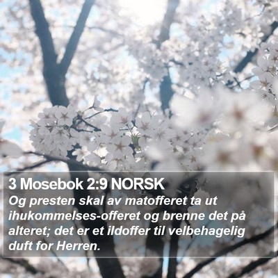 3 Mosebok 2:9 NORSK Bible Verse Image