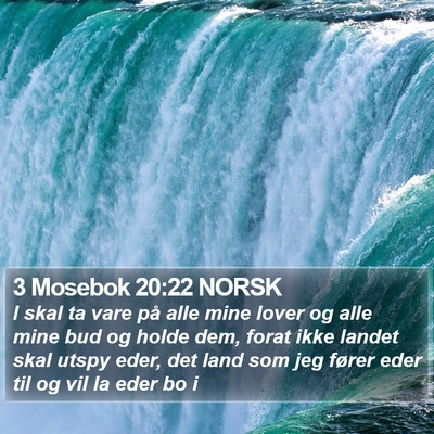 3 Mosebok 20:22 NORSK Bible Verse Image