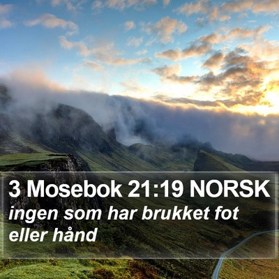 3 Mosebok 21:19 NORSK Bible Verse Image