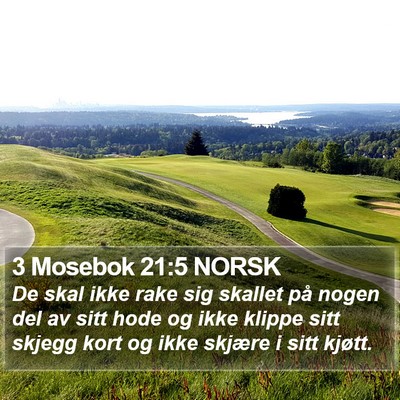 3 Mosebok 21:5 NORSK Bible Verse Image